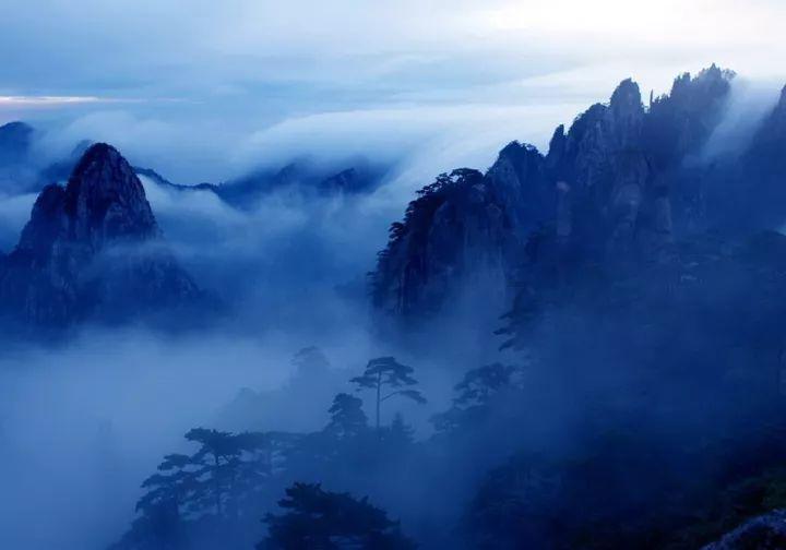 高级定制