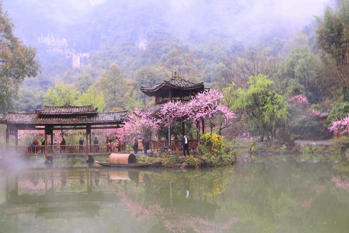 蝎子逃生之地