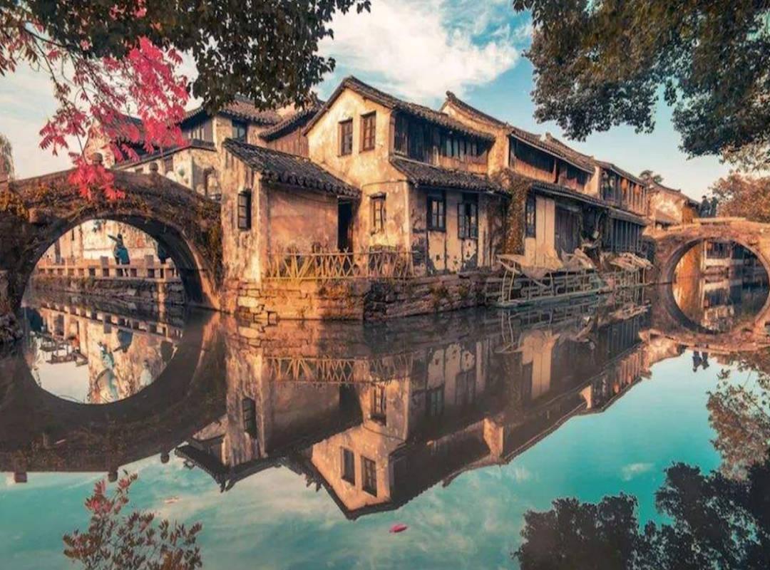 动物帮帮忙保卫家园